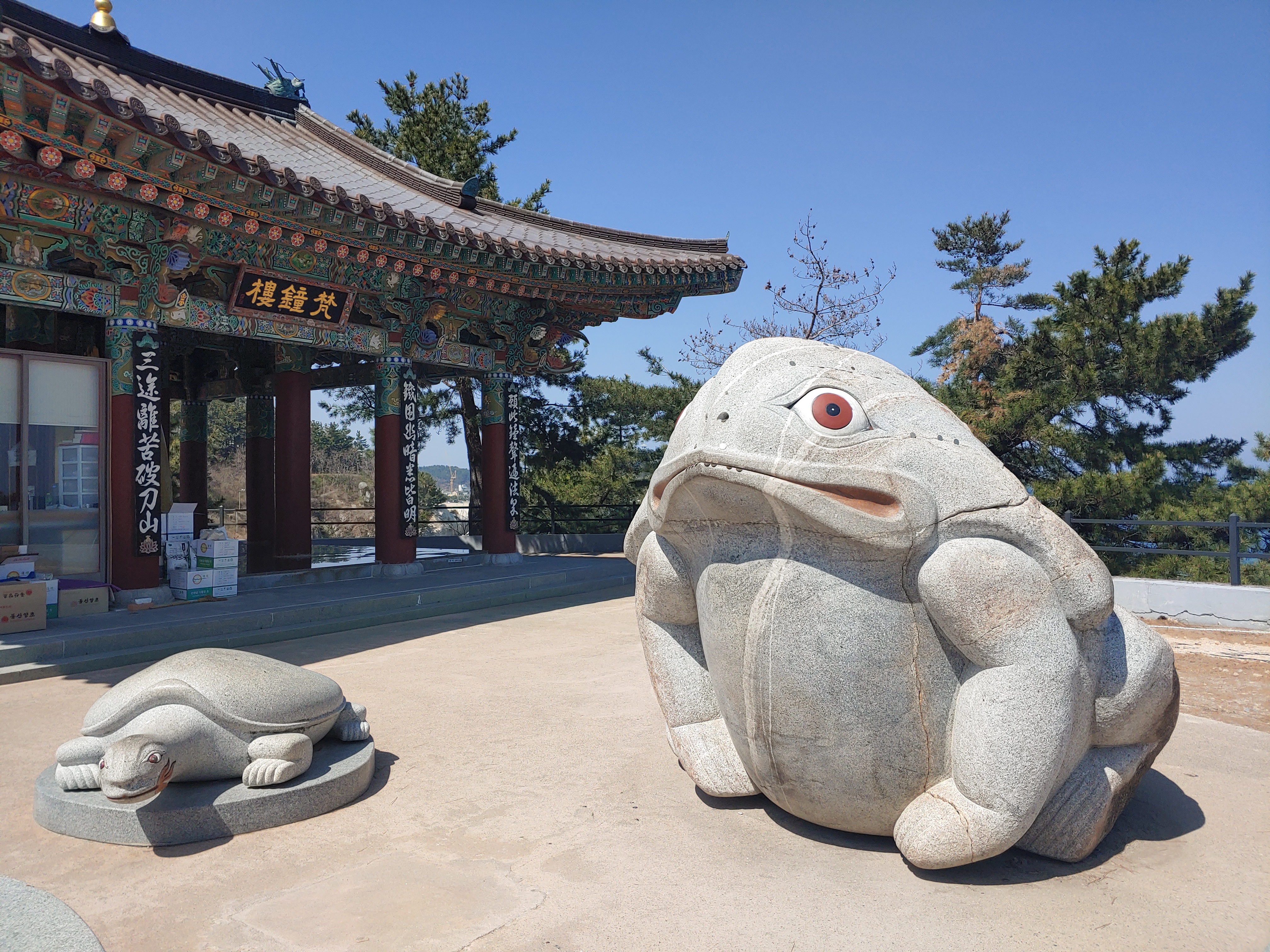 龟岩与海岸礁石，展现海蚀地貌的趣味。